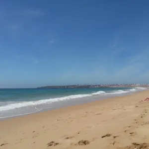 https://lagos-ocean-view-guesthouse.hotelaalgarve.com
